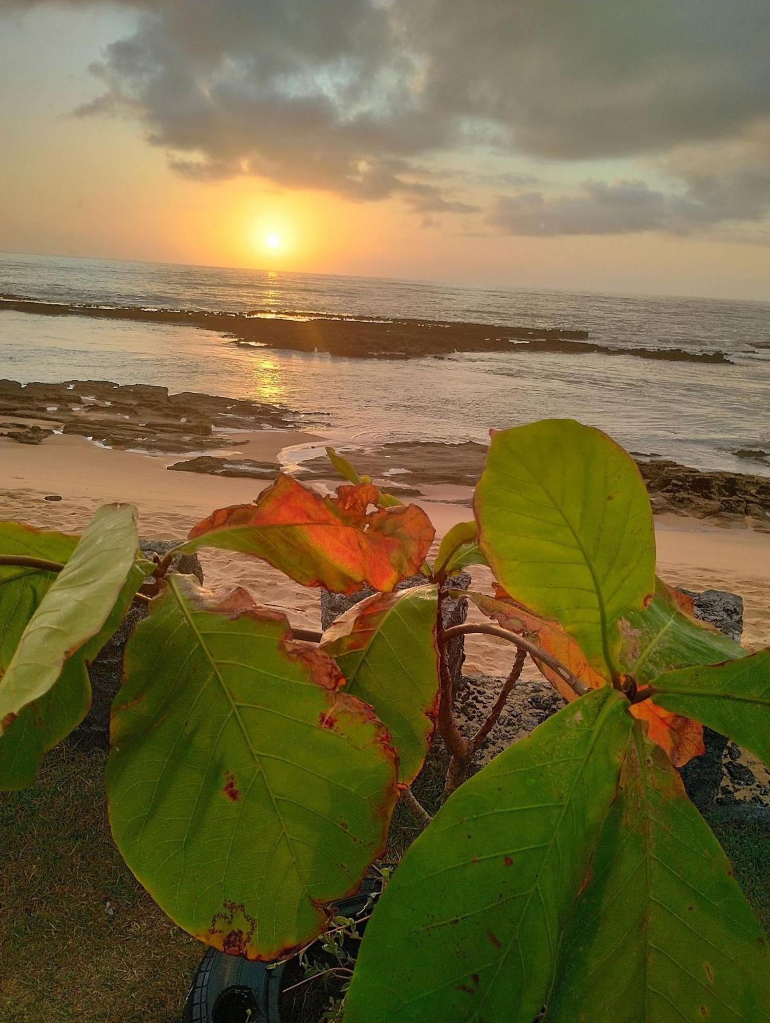 Pousada Tropicalia Tranquilidade A Beira Mar Санта-Крус-Кабралія Екстер'єр фото